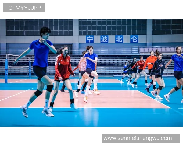 深度对话杨强排球人生的起伏与坚持探索背后的故事与情感