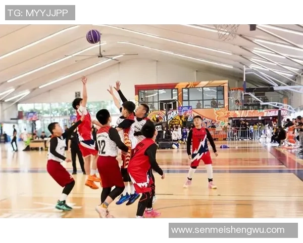 西安篮球队灵活性分析与战术创新探讨