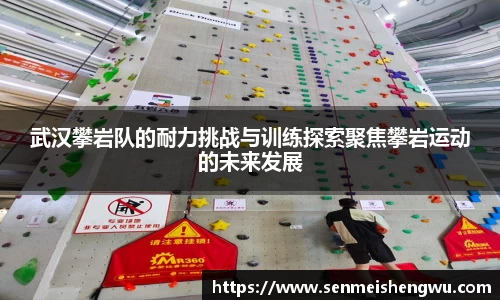 武汉攀岩队的耐力挑战与训练探索聚焦攀岩运动的未来发展
